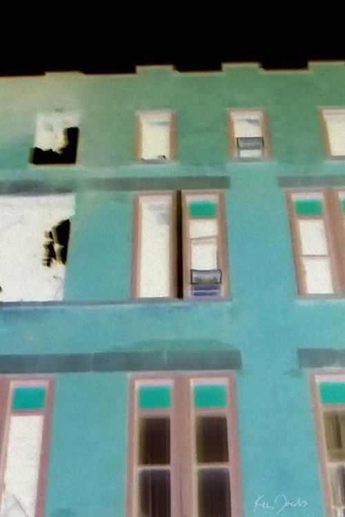 Brick Building with Red and Green Windows (2020) movie poster