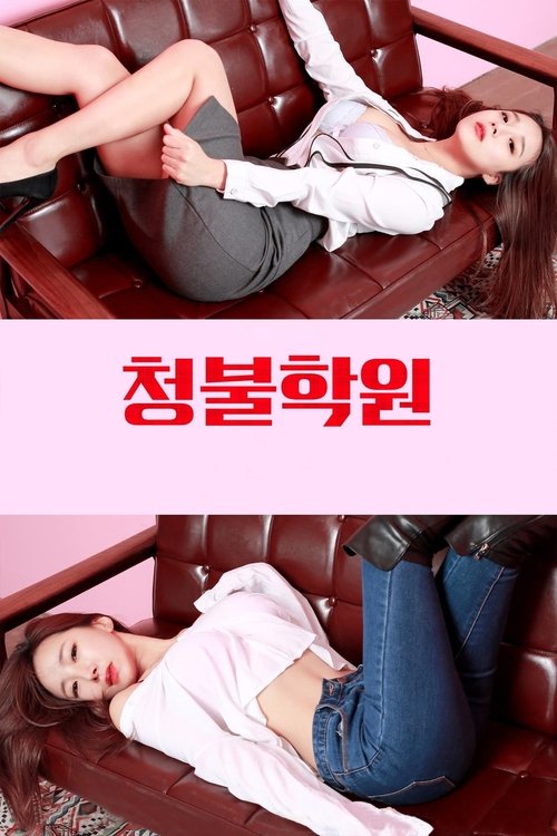 Adult Only Institute (2017) movie poster