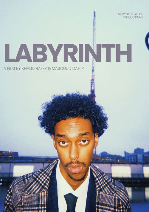 Labyrinth (2025) movie poster