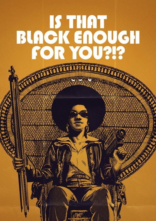 Is That Black Enough for You?!? (2022) movie poster