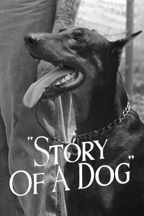 Story of a Dog (1945) movie poster