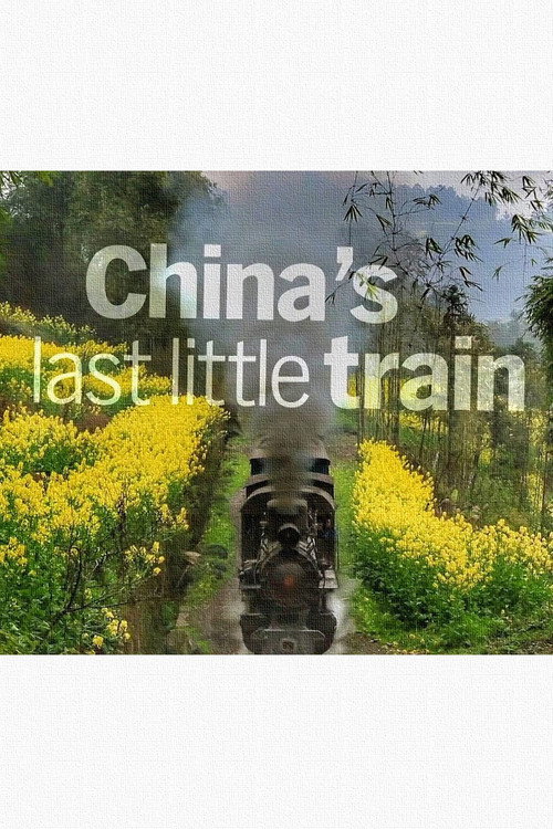 China's Last Little Train (2014) movie poster