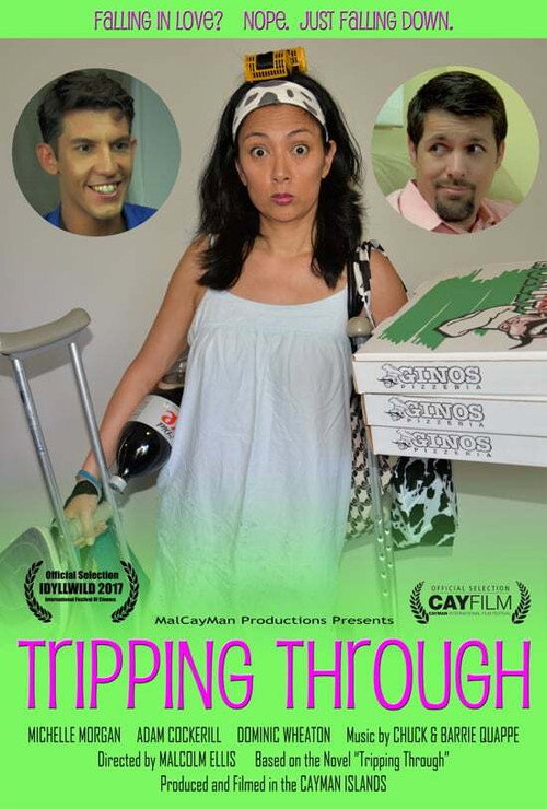 Tripping Through (2016) movie poster