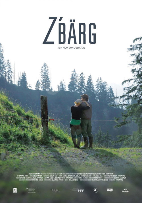 z'Bärg (2016) movie poster