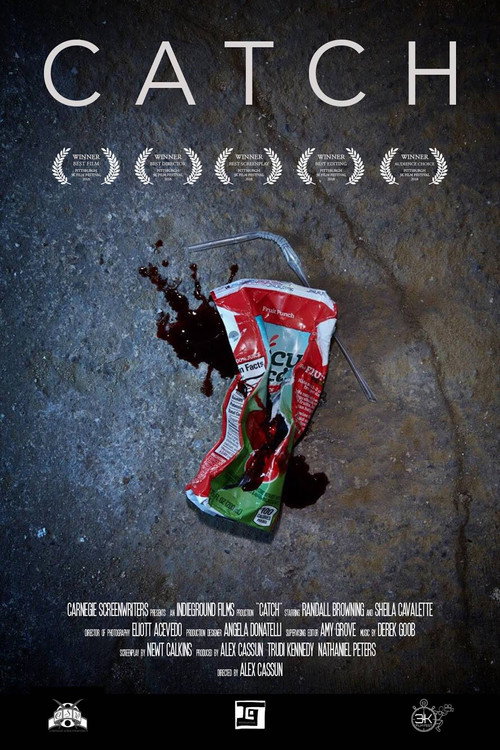 Catch (2018) movie poster