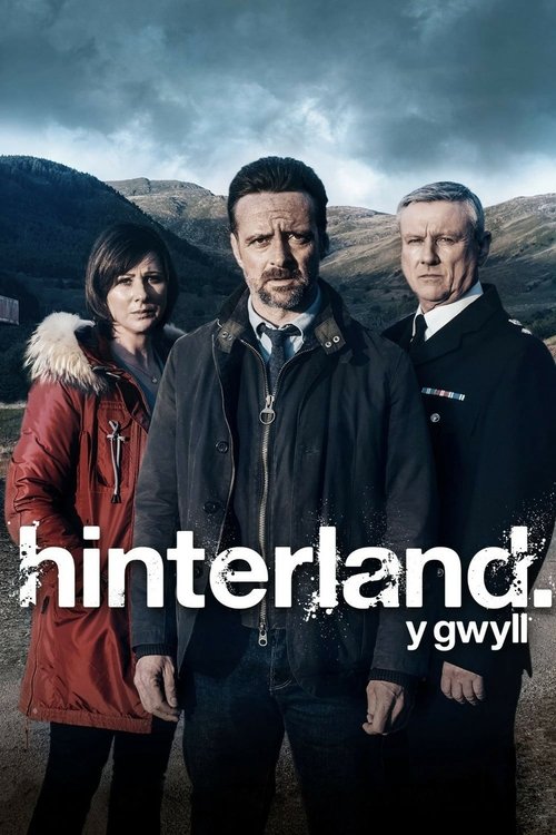 Hinterland (2013) TV show poster