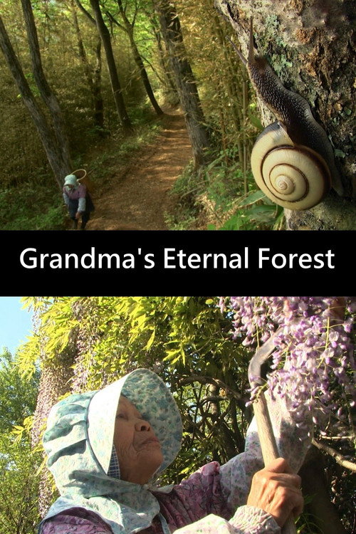Grandma's Eternal Forest (2013) movie poster