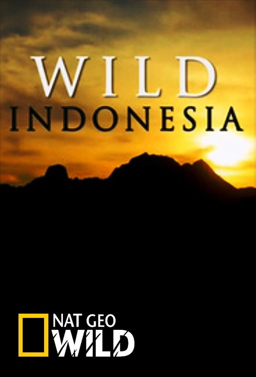 Wild Indonesia (2015) TV show poster