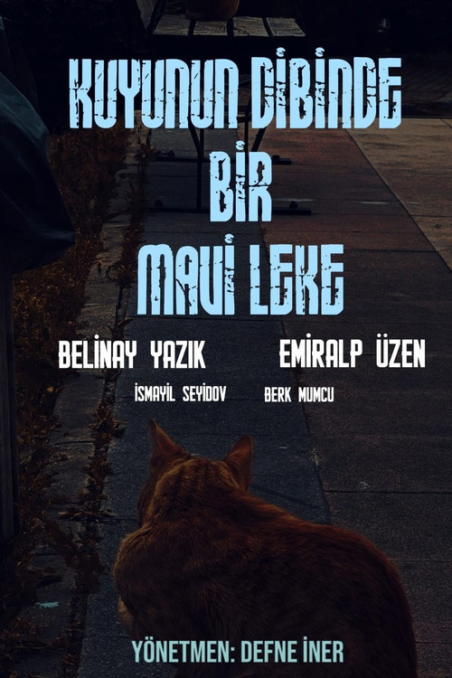 Kuyunun Dibinde Bir Mavi Leke (2026) movie poster
