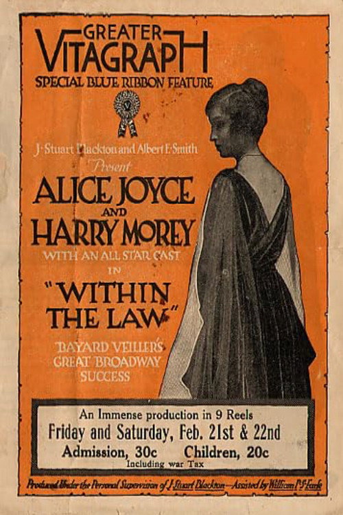 Within the Law (1917) movie poster