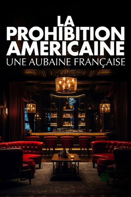 La prohibition américaine, une aubaine française (2025) movie poster