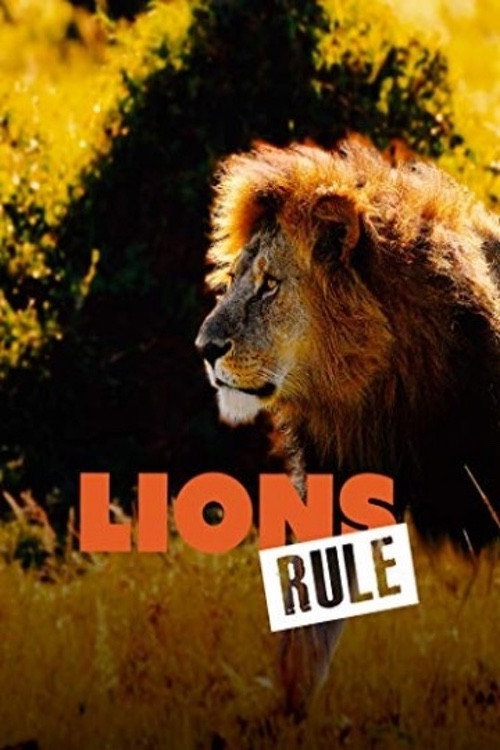 Lions Rule (2020) movie poster