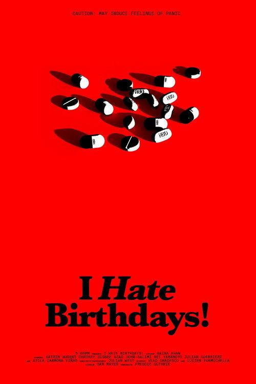 I Hate Birthdays! (2024) movie poster