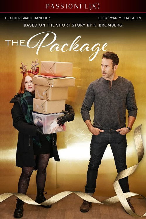The Package (2020) movie poster