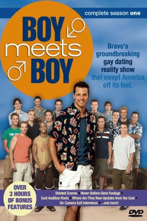 Boy Meets Boy (2003) TV show poster