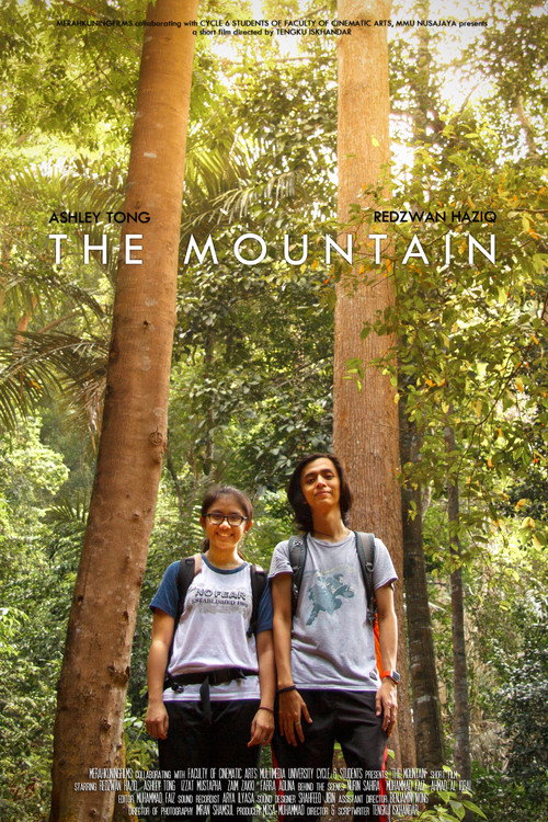 The Mountain (2017) movie poster