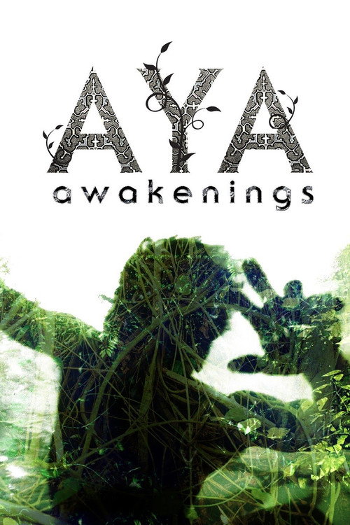 Aya: Awakenings (2013) movie poster