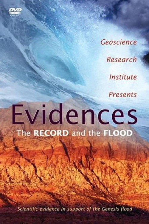 Evidences: The Record and the Flood (1990) movie poster