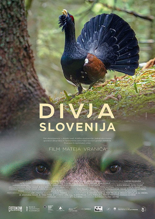 Wild Slovenia (2021) movie poster