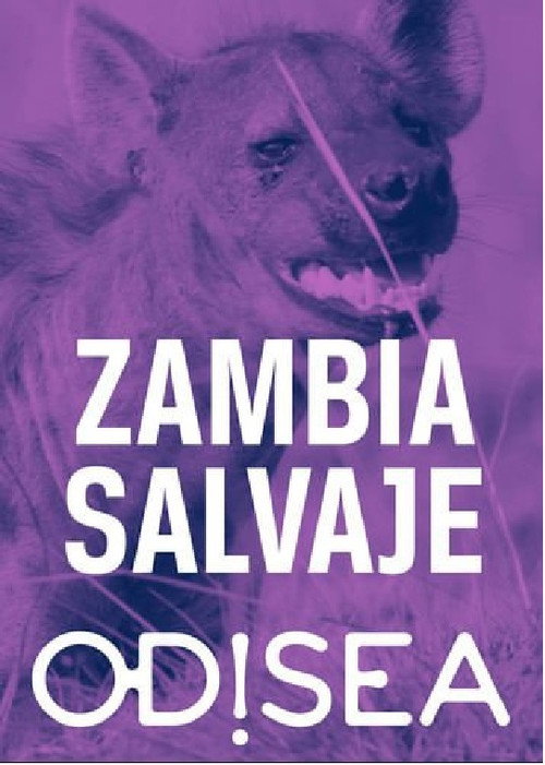 Tales from Zambia (2018) TV show poster
