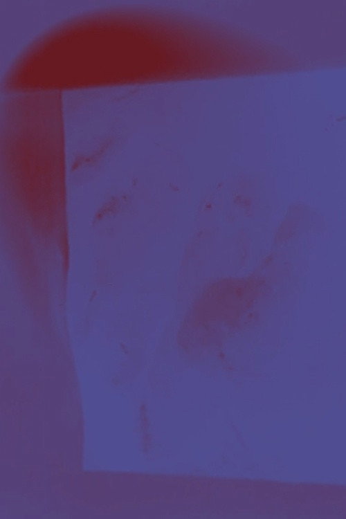 Corpus II Home (2021) movie poster