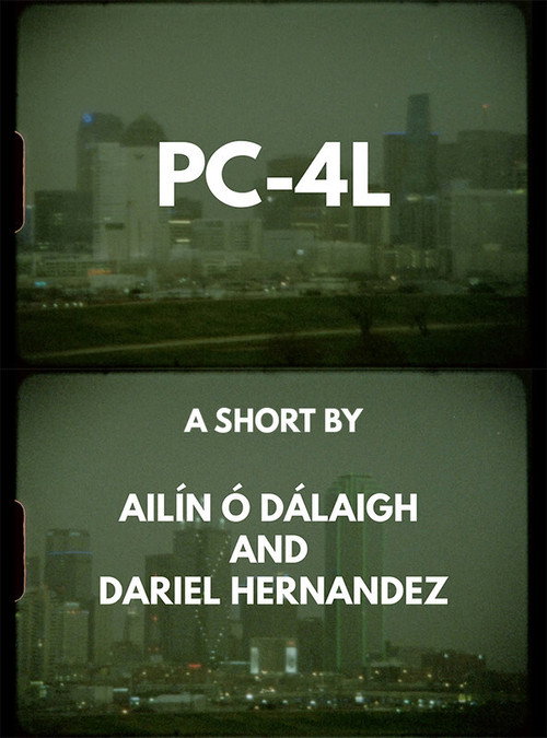 PC-4L (2020) movie poster