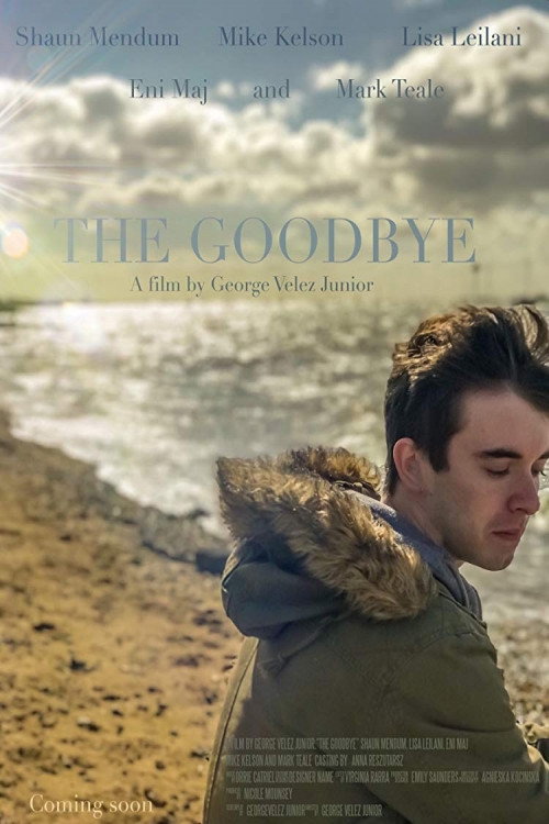 The Goodbye (2018) movie poster