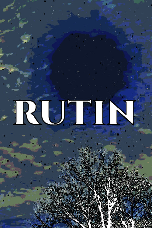 Routine (2025) movie poster