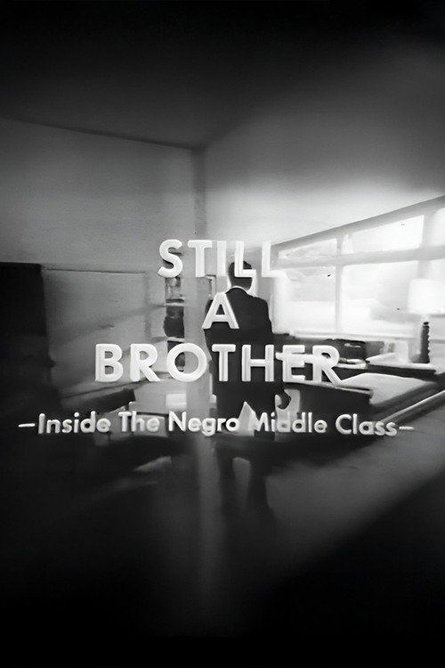 Still A Brother: Inside the Negro Middle Class (1968) movie poster