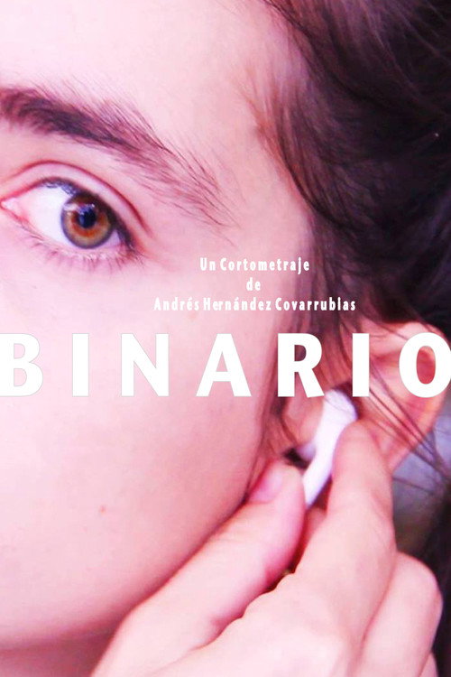 Binary (2015) movie poster