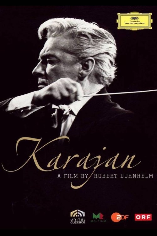 Karajan: Beauty As I See It (2008) movie poster