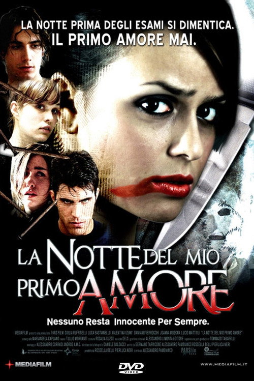 La notte del mio primo amore (2006) movie poster