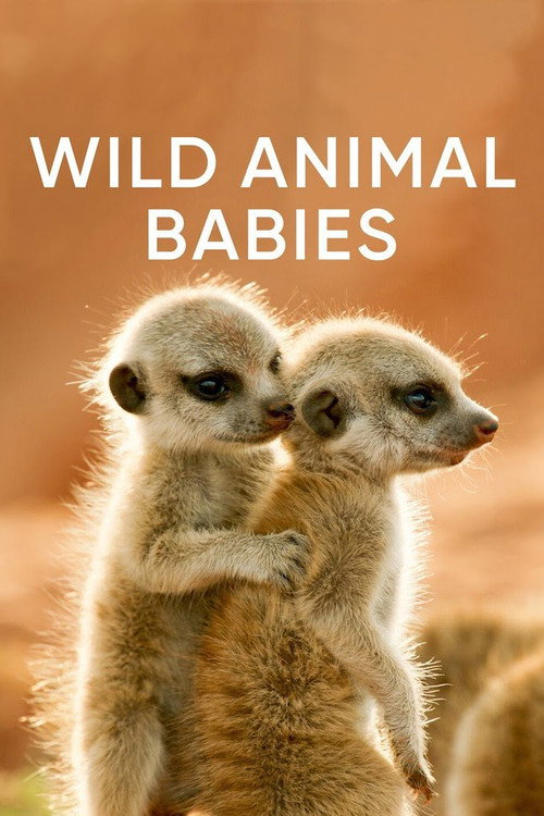 Wild Animals Babies (2020) TV show poster