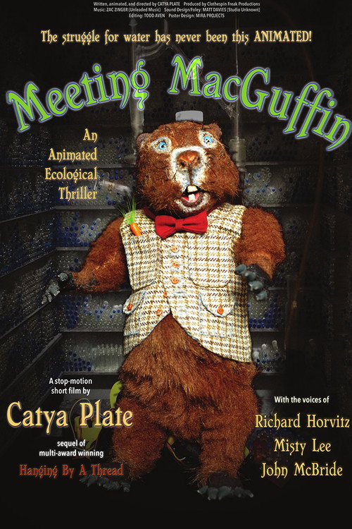 Meeting MacGuffin (2017) movie poster