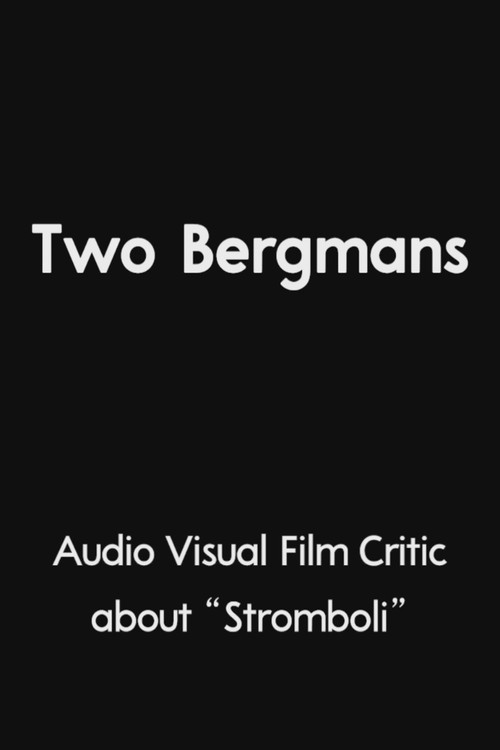 Two Bergmans (2025) movie poster