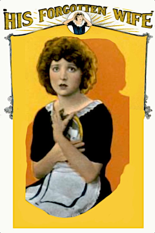 His Forgotten Wife (1924) movie poster