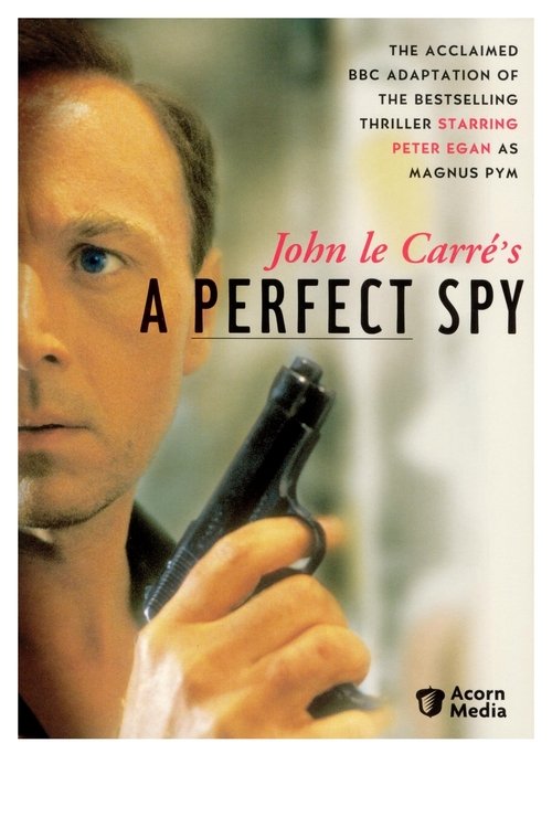 A Perfect Spy (1987) TV show poster