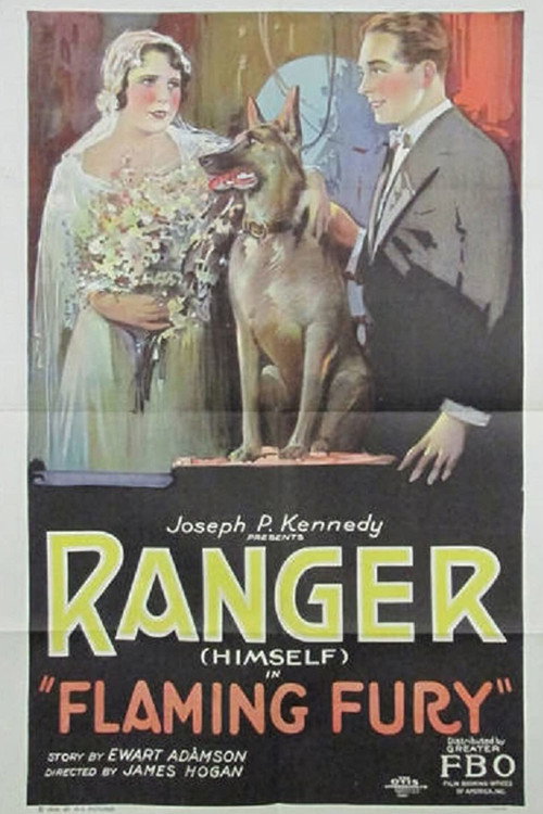 Flaming Fury (1926) movie poster