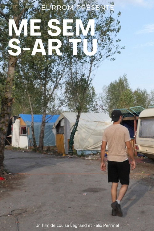 Me sem s-ar tu movie poster