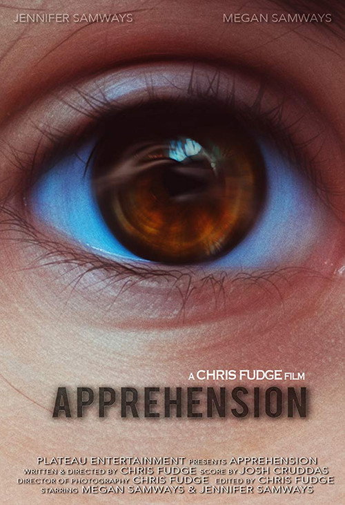 Apprehension (2018) movie poster