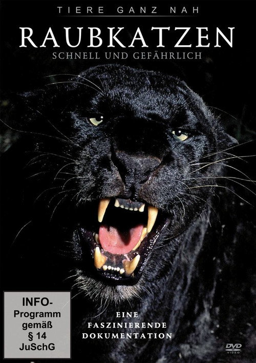 Big Cats: Fast and Dangerous (2012) movie poster