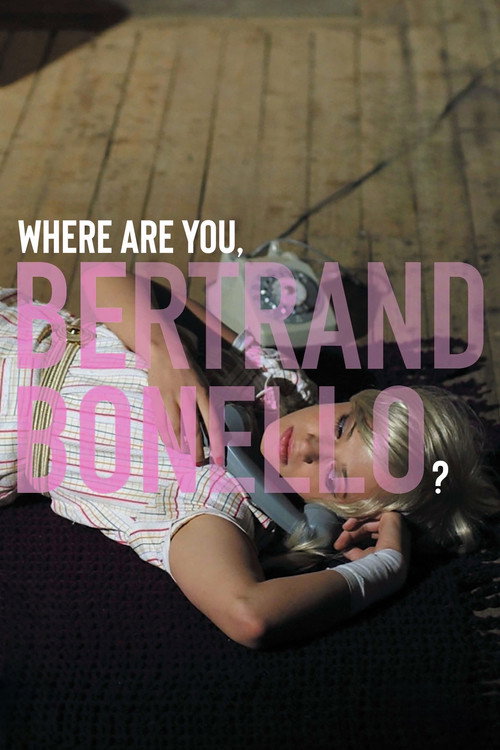 Where Are You, Bertrand Bonello? (2014) movie poster