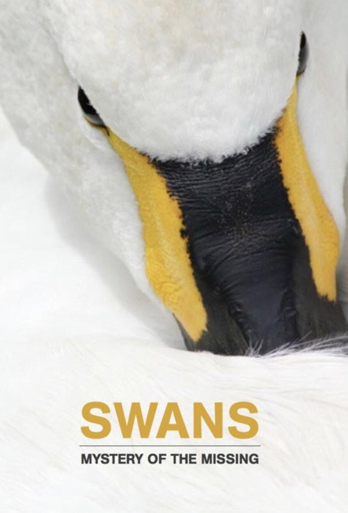 Swans: Mystery of the Missing (2019) movie poster