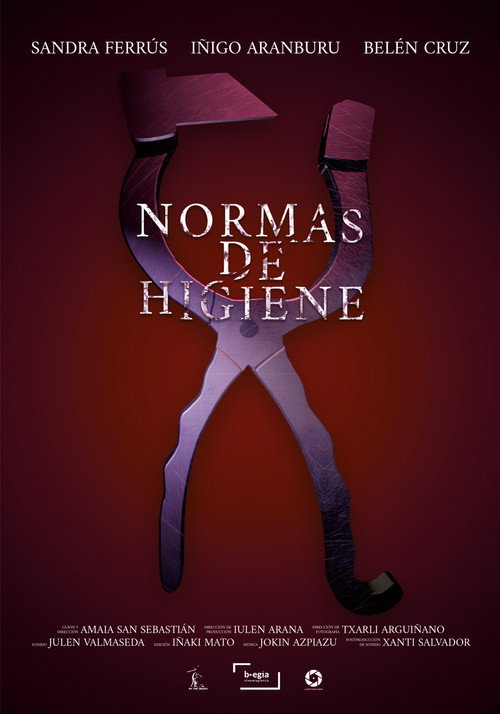 Hygiene Standards (2023) movie poster