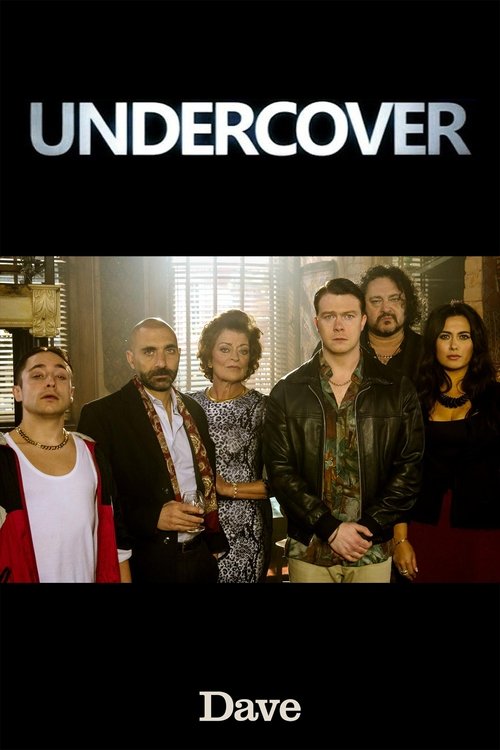 Undercover (2015) TV show poster