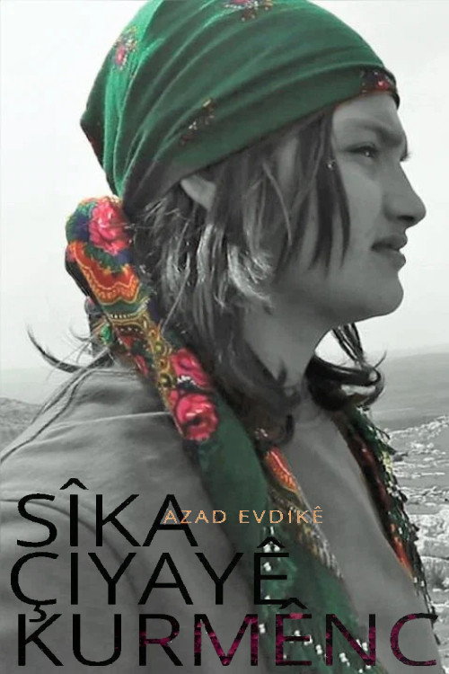 Shadow of the Kurdish Mountain (2019) movie poster