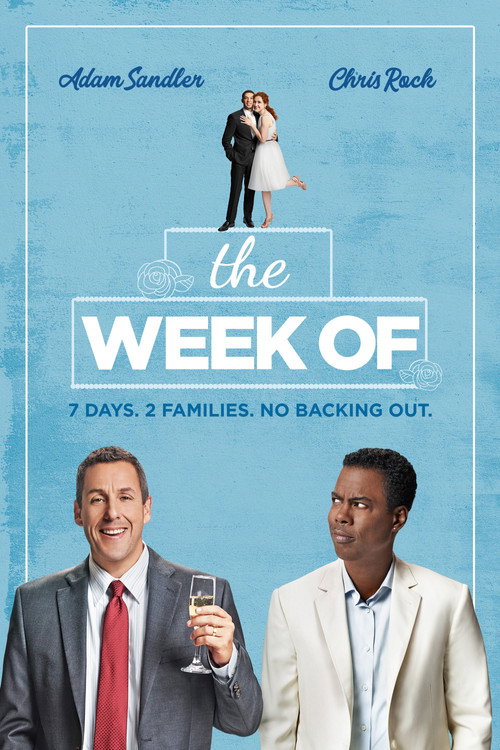 The Week Of (2018) movie poster