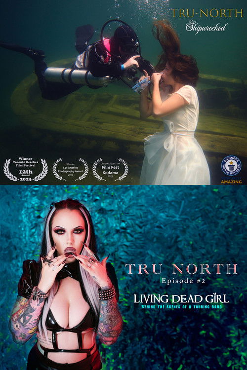 Tru North (2024) TV show poster