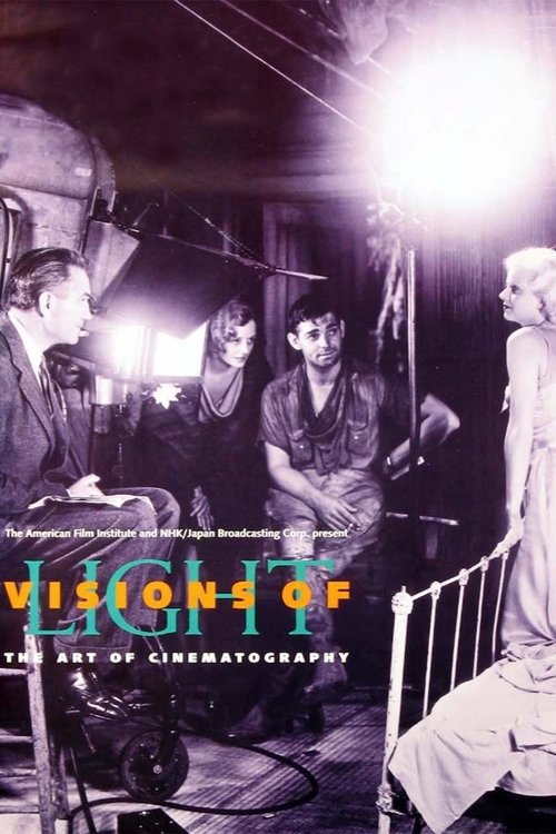 Visions of Light (1992) movie poster