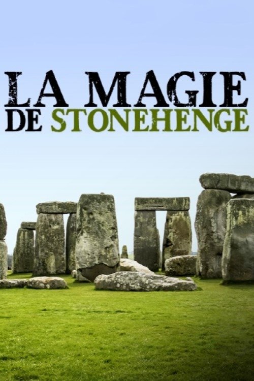 The Stonehenge Enigma (2021) movie poster